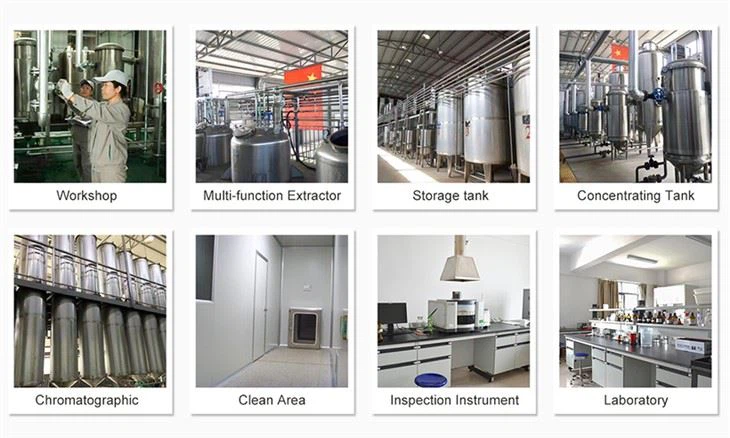 Hydrolyzed Pea Protein